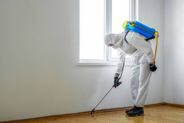 Best Wasp Removal Services  in Strodes Mills, PA