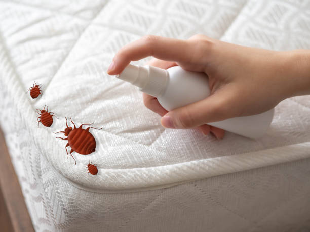 Best Pest Inspection Near Me  in Strodes Mills, PA