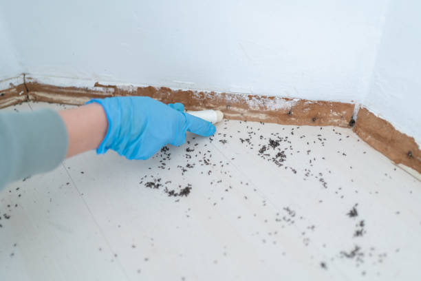 Best Best Pest Control Companies  in Strodes Mills, PA
