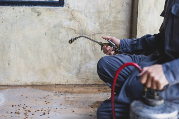 Professional Pest Control in Strodes Mills, PA