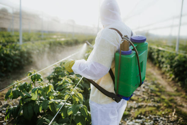 Best Pest Prevention Services  in Strodes Mills, PA
